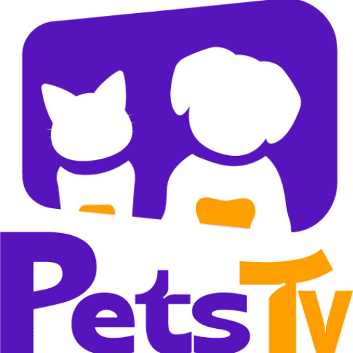 Featured image: 5 sinais de que seu pet está estressado e como ajudá-lo a relaxar