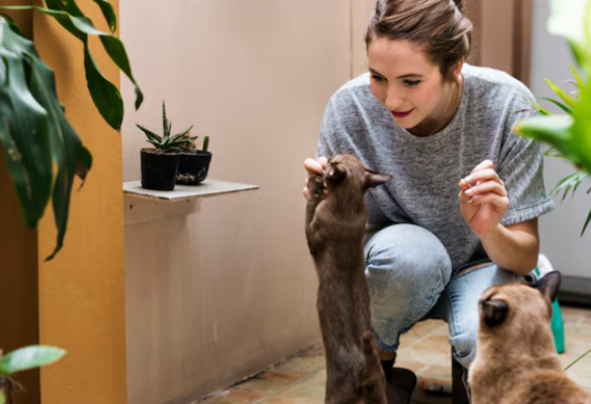 Vai receber um novo pet