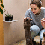Como introduzir um novo pet em casa: dicas práticas para evitar conflitos